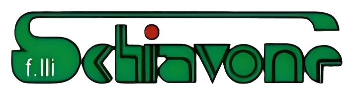 Logo F.lli Schiavone S.r.l.